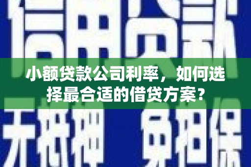 禹城小额贷款公司利率，如何选择最合适的借贷方案？