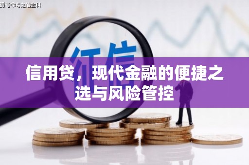 禹城信用贷，现代金融的便捷之选与风险管控