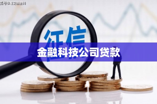 禹城金融科技公司贷款