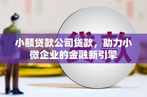 禹城小额贷款公司贷款，助力小微企业的金融新引擎