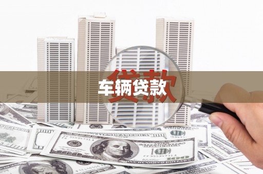 禹城车辆贷款
