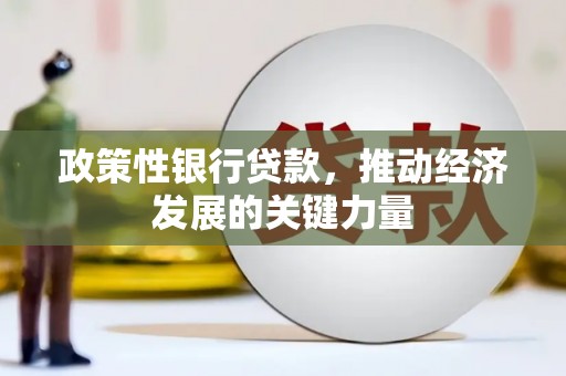 禹城政策性银行贷款，推动经济发展的关键力量