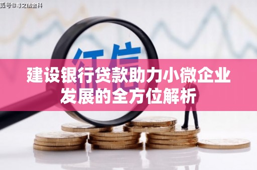 禹城建设银行贷款助力小微企业发展的全方位解析