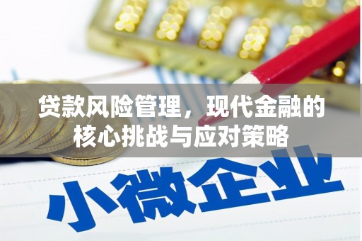 禹城贷款风险管理，现代金融的核心挑战与应对策略