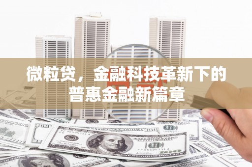禹城微粒贷，金融科技革新下的普惠金融新篇章