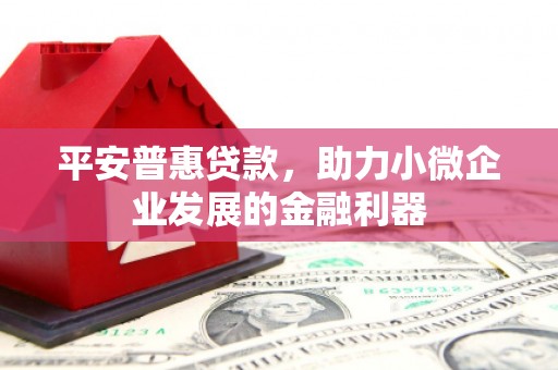 禹城平安普惠贷款，助力小微企业发展的金融利器