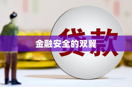 禹城金融安全的双翼