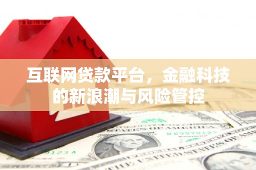 禹城互联网贷款平台，金融科技的新浪潮与风险管控