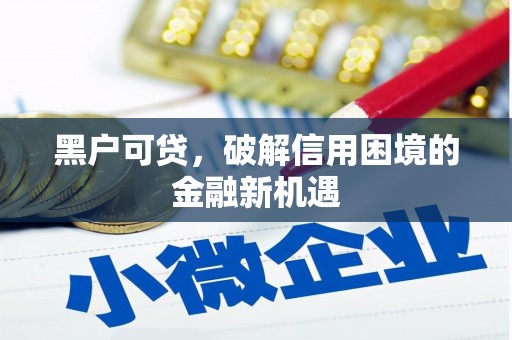 禹城黑户可贷，破解信用困境的金融新机遇