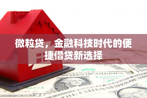 禹城微粒贷，金融科技时代的便捷借贷新选择