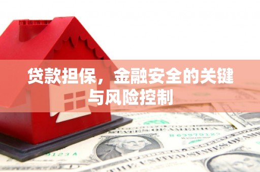 禹城贷款担保，金融安全的关键与风险控制