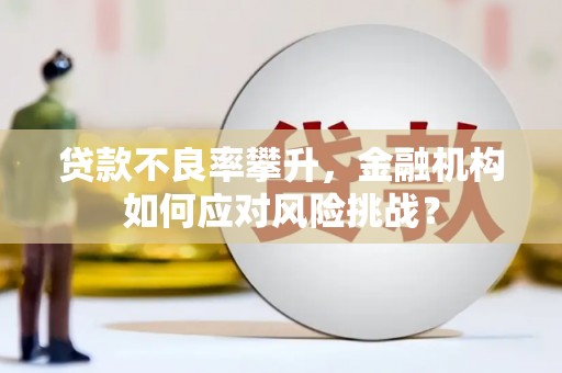 禹城贷款不良率攀升，金融机构如何应对风险挑战？