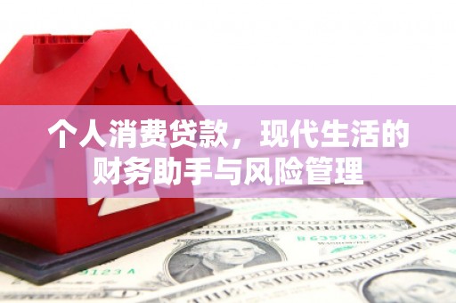 禹城个人消费贷款，现代生活的财务助手与风险管理