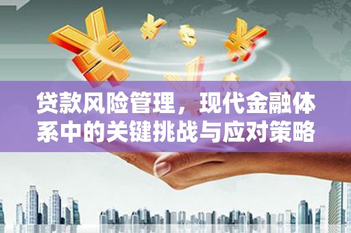 禹城贷款风险管理，现代金融体系中的关键挑战与应对策略