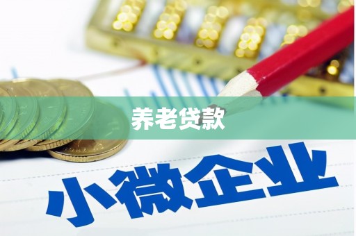 禹城养老贷款