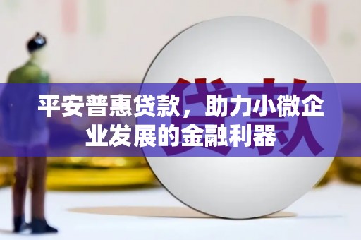 禹城平安普惠贷款，助力小微企业发展的金融利器