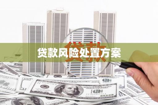 禹城贷款风险处置方案