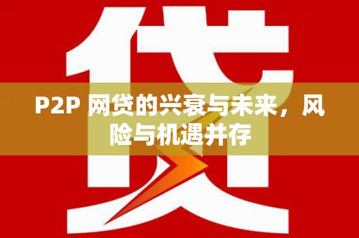 禹城P2P 网贷的兴衰与未来，风险与机遇并存