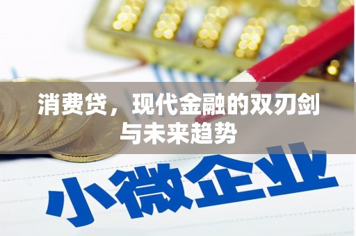 禹城消费贷，现代金融的双刃剑与未来趋势
