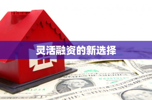 禹城灵活融资的新选择