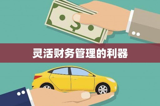 禹城灵活财务管理的利器