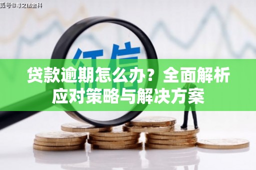 禹城贷款逾期怎么办？全面解析应对策略与解决方案