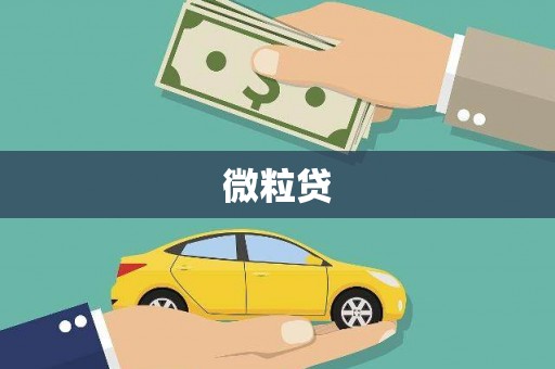 禹城微粒贷