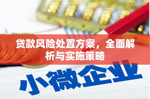 禹城贷款风险处置方案，全面解析与实施策略