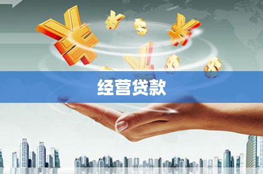 禹城经营贷款