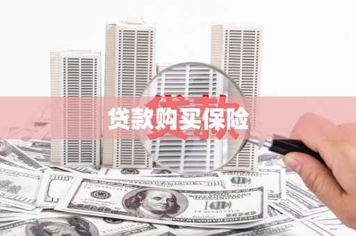 禹城贷款购买保险