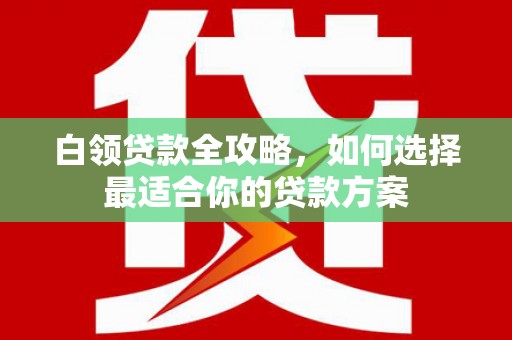 禹城白领贷款全攻略，如何选择最适合你的贷款方案