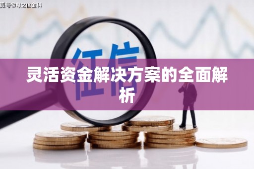禹城灵活资金解决方案的全面解析